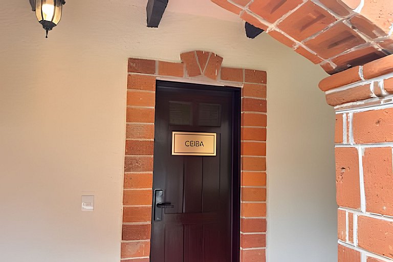 Diversión y bosque con amigos